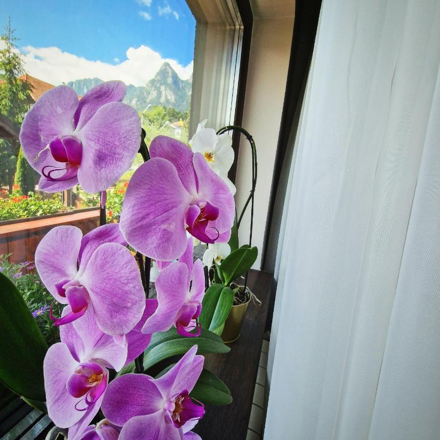 Amor Tirol Busteni (Adults Only) Eksteriør bilde