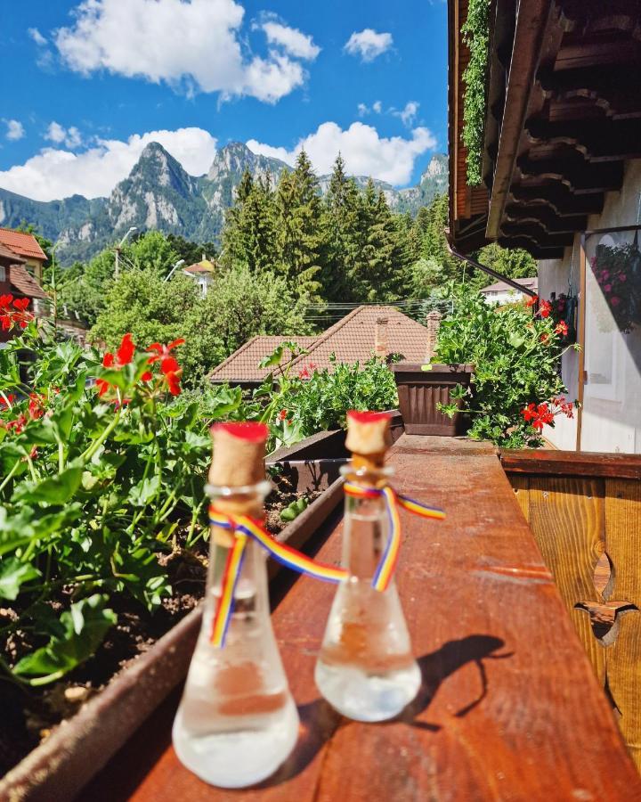 Amor Tirol Busteni (Adults Only) Eksteriør bilde
