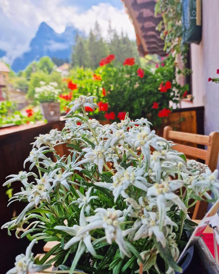 Amor Tirol Busteni (Adults Only) Eksteriør bilde