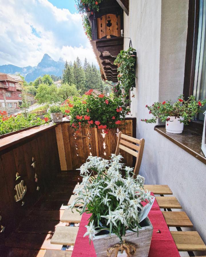 Amor Tirol Busteni (Adults Only) Eksteriør bilde