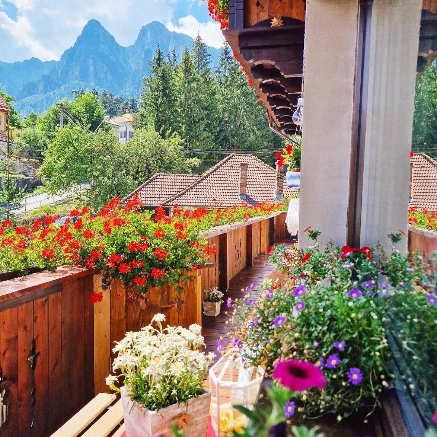 Amor Tirol Busteni (Adults Only) Eksteriør bilde