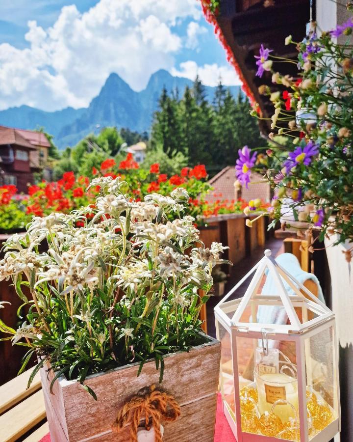 Amor Tirol Busteni (Adults Only) Eksteriør bilde