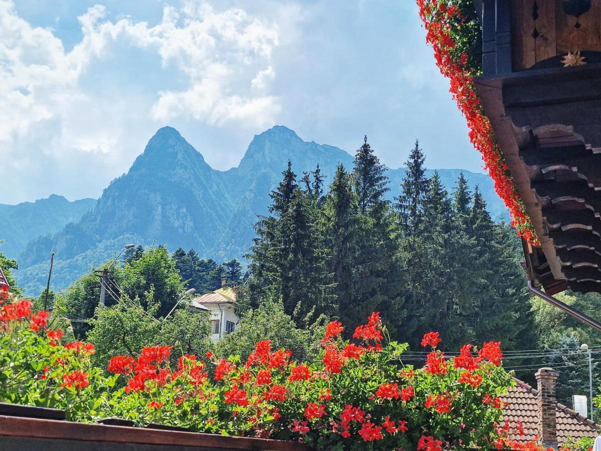 Amor Tirol Busteni (Adults Only) Eksteriør bilde