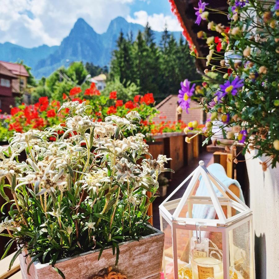 Amor Tirol Busteni (Adults Only) Eksteriør bilde
