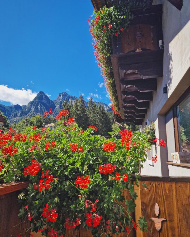 Amor Tirol Busteni (Adults Only) Eksteriør bilde
